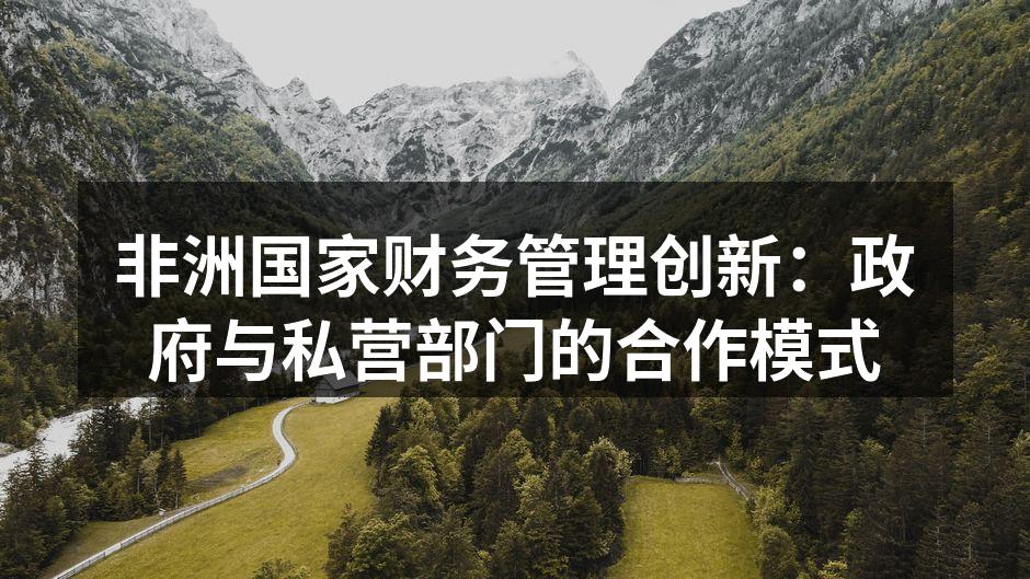 非洲国家财务管理创新：政府与私营部门的合